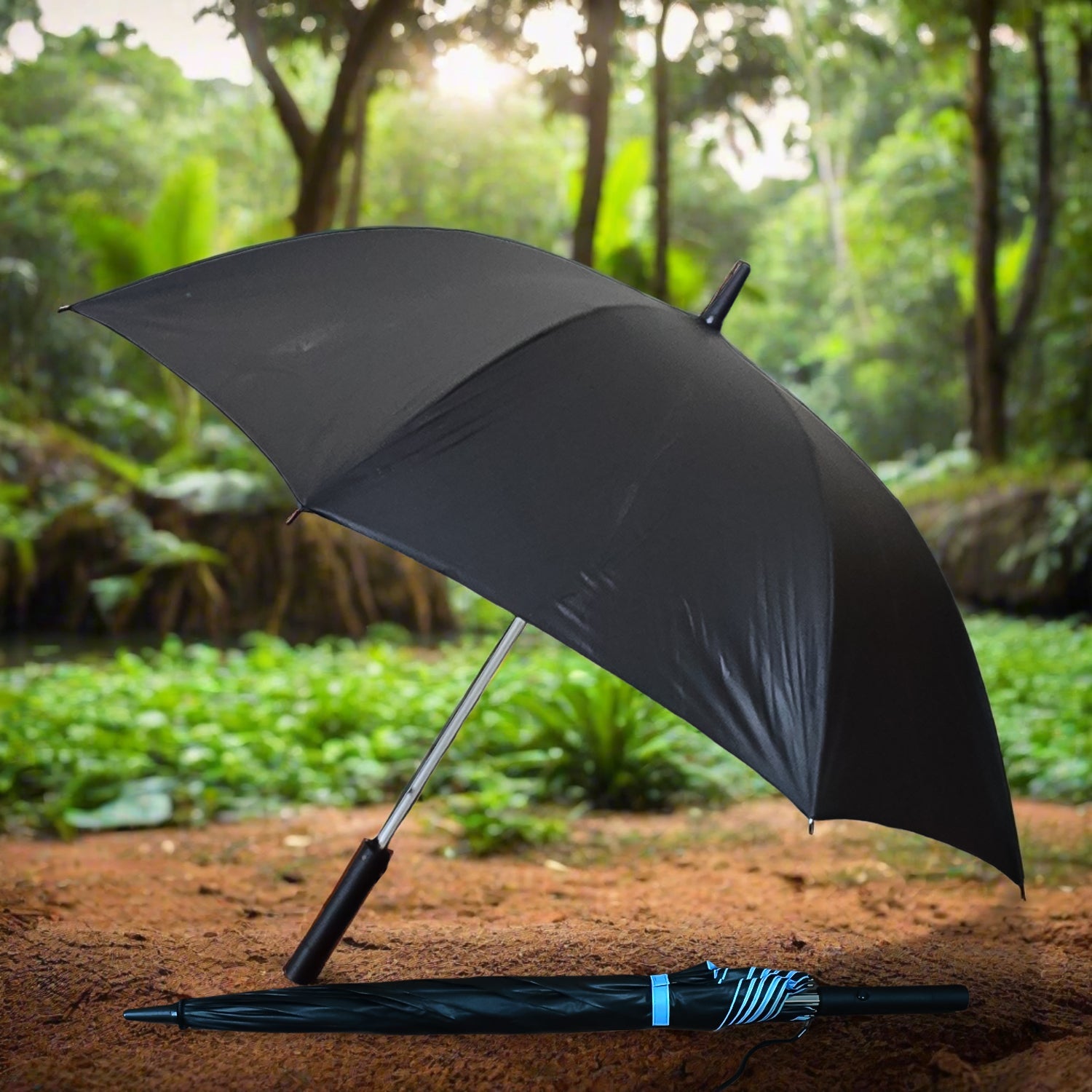 Umbrella Umbrella